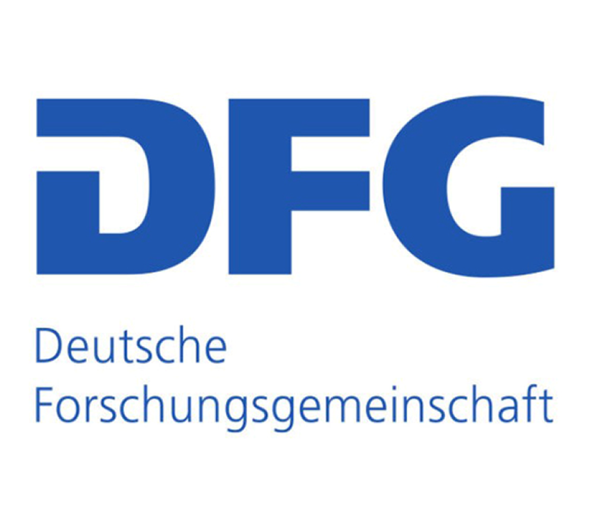 DFG logo