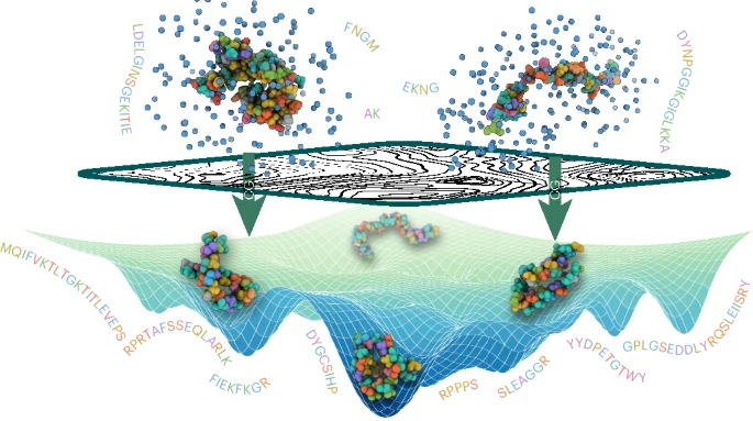 Atomic simulations passed through a MLCG model